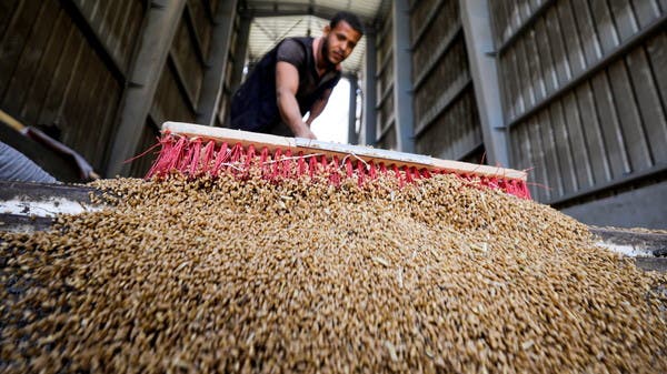 واردات مصر من القمح تواصل التراجع