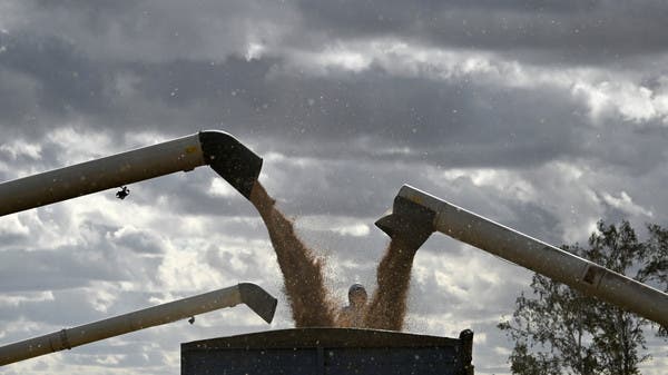 لماذا تربك أسعار الصادرات الروسية أسواق القمح؟