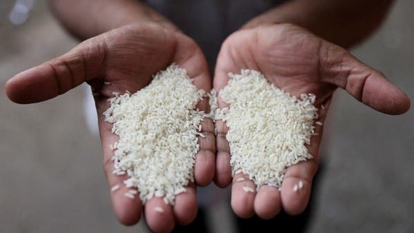 الأرز يستقر عند أعلى مستوى في 15 عاماً.. و”فاو” تحذر