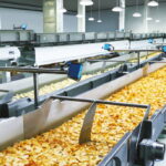 زيرف اكستروجن: ريادة في مجال خطوط إنتاج الأغذية الخفيفة