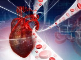 طب القلب والشرايين