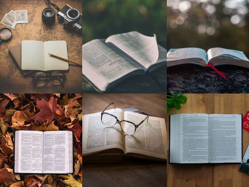 كيف تقودك كتب التنمية الذاتية نحو النجاح